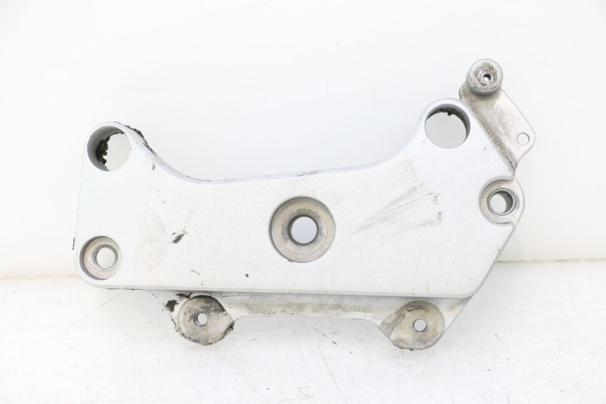 photo de LEFT SIDE FRAME COVER HONDA CB F HORNET 600 (2005 - 2006) - Main view
