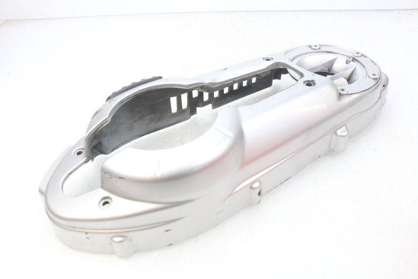 photo de ENGINE COVER PEUGEOT GEOPOLIS 400 (2007 - 2013) - Technical close-up