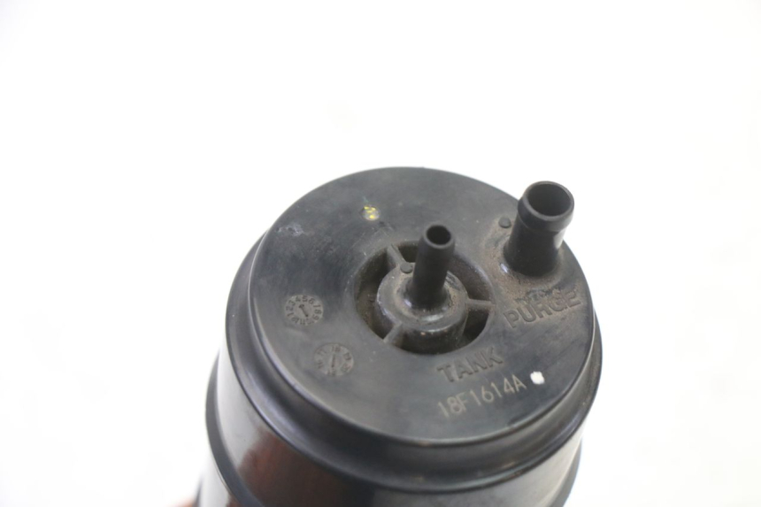 photo de CANISTER BMW G310 R 310 (2016 - 2020) - Alternative perspective