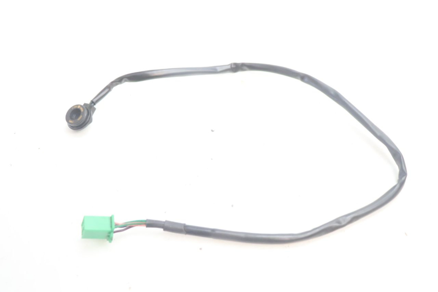 photo de NEUTRAL SENSOR MASH DIRT TRACK 50 (2018 - 2020) - Alternative perspective