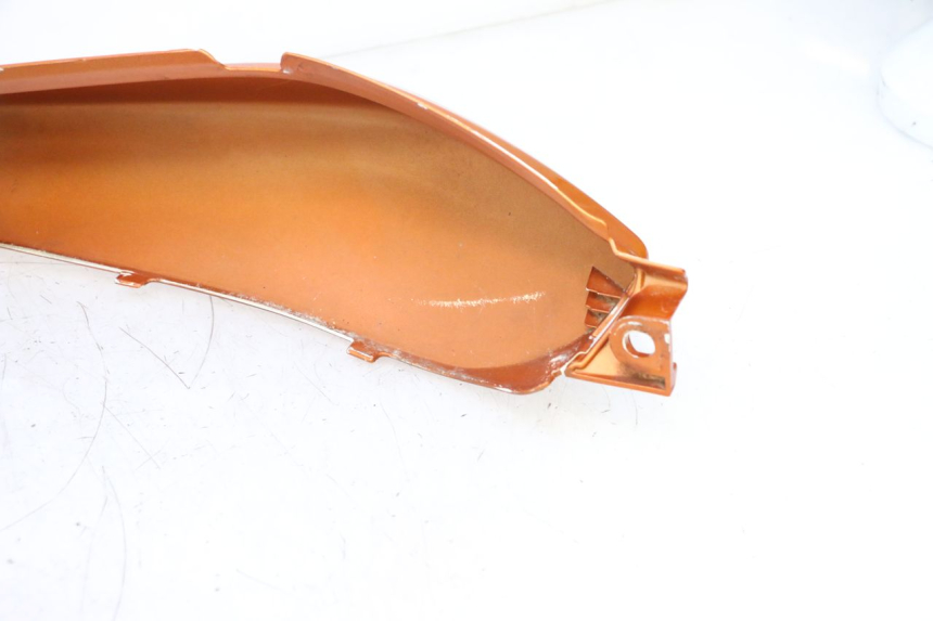 photo de REAR PANEL HONDA CB F HORNET 600 (2005 - 2006) - Distinctive features