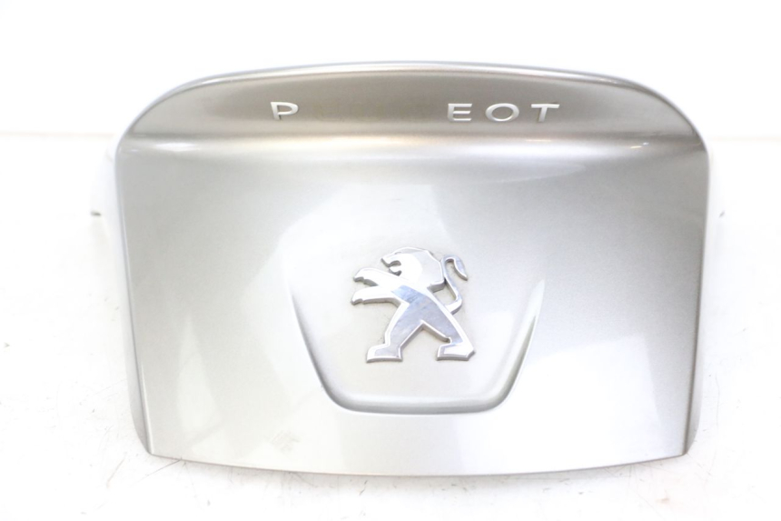 photo de REAR PANEL PEUGEOT SATELIS 125 (2013 - 2018) - Surface and material condition