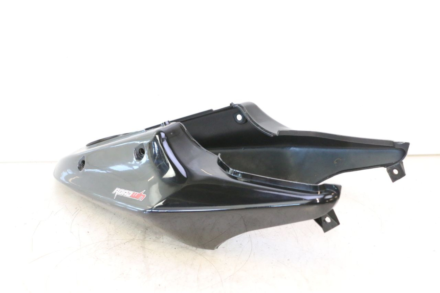 photo de REAR PANEL DAELIM VJ ROADWIN 125 (2004 - 2007) - Product overview