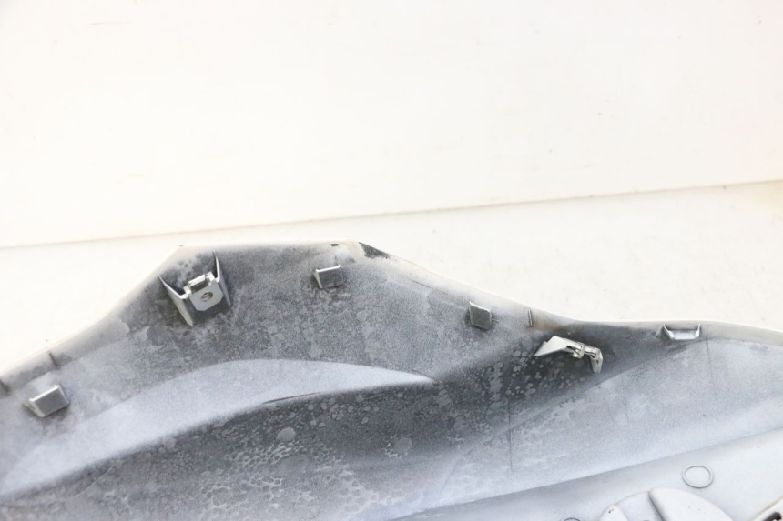 photo de LEFT FUEL TANK PANEL BMW G310 R 310 (2016 - 2020) - Zoom on usage condition