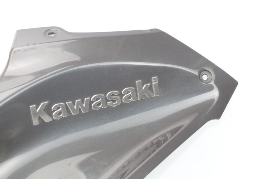 photo de FUEL TANK PANEL KAWASAKI Z Z900 900 (2017 - 2019) - Spare part profile view