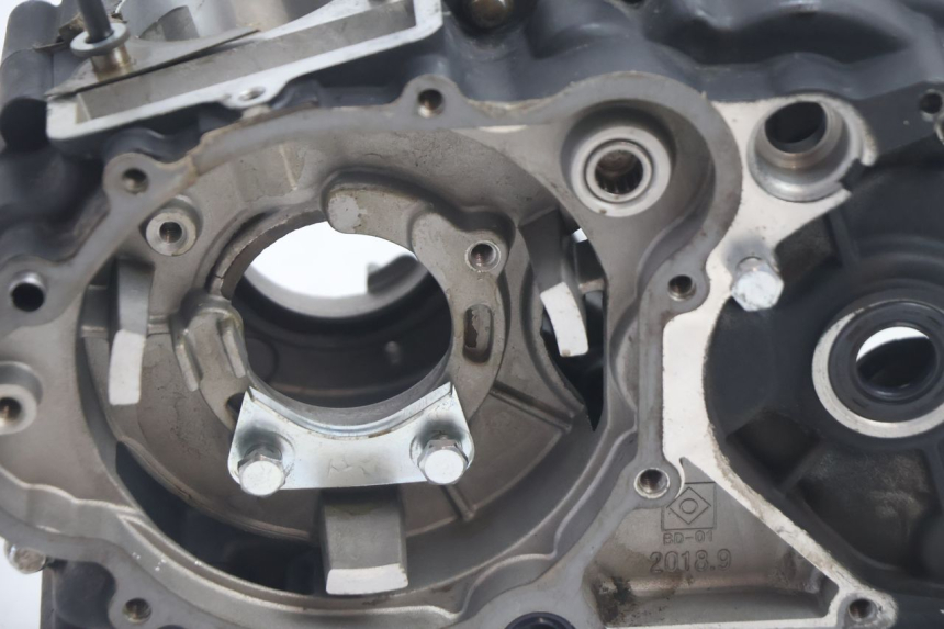 photo de ENGINE CRANKCASE MASH DIRT TRACK 50 (2018 - 2020) - Technical close-up