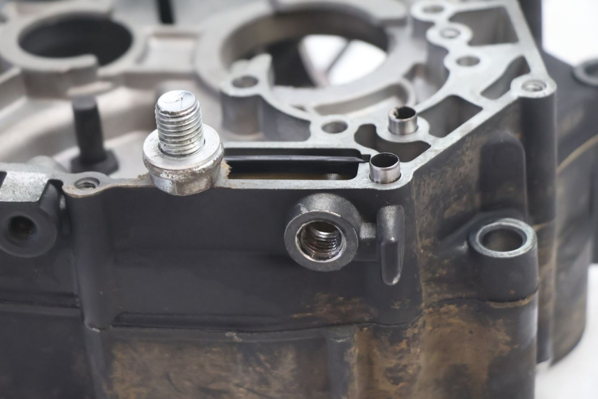 photo de ENGINE CRANKCASE MASH DIRT TRACK 50 (2018 - 2020) - Markings and original references