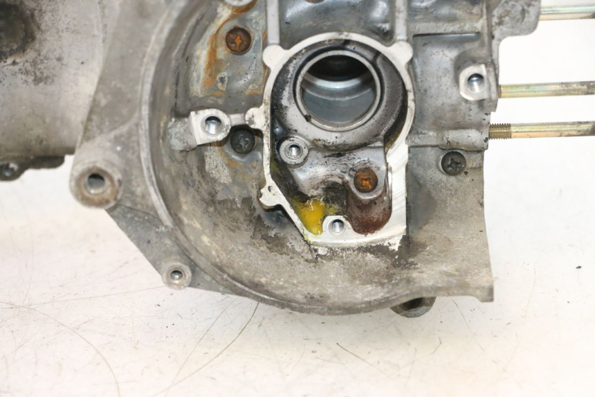 photo de ENGINE CRANKCASE MBK EVOLIS 80 (1993 - 1999) - Distinctive features