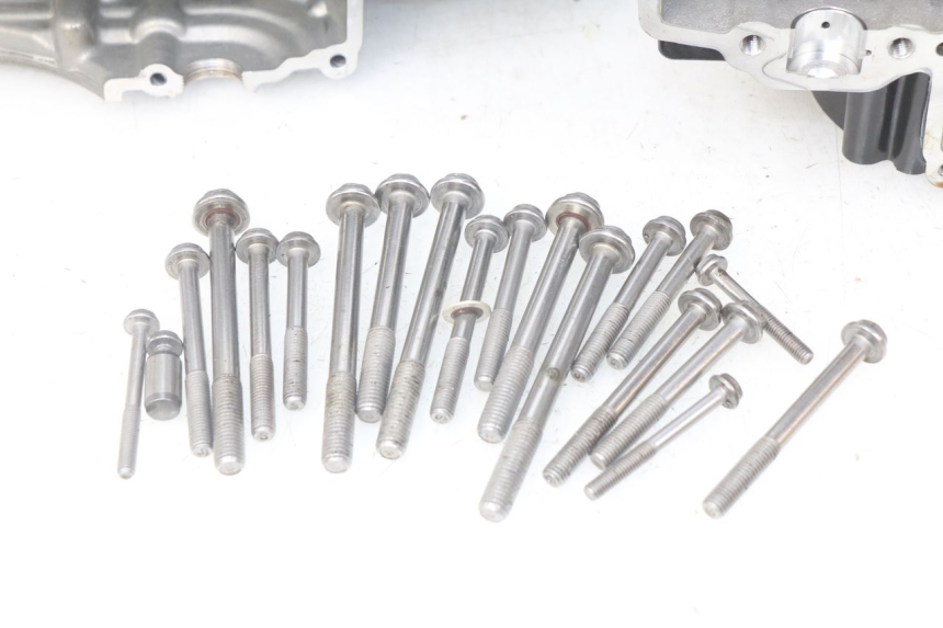 photo de ENGINE CRANKCASE BMW F GS K81 850 (2018 - 2023) - Alternative angle