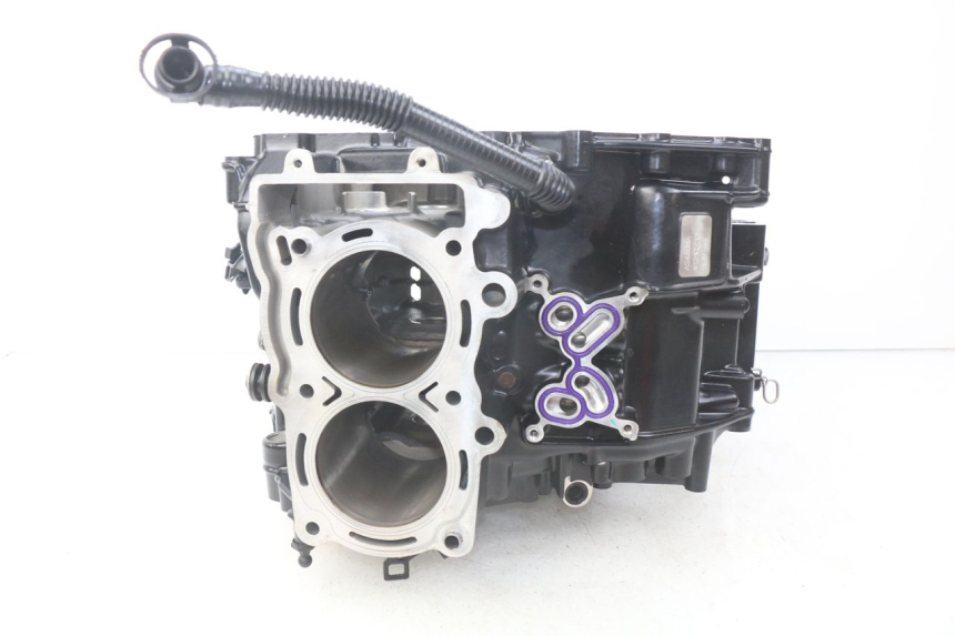 photo de ENGINE CRANKCASE BMW F GS K81 850 (2018 - 2023) - Zoom on usage condition