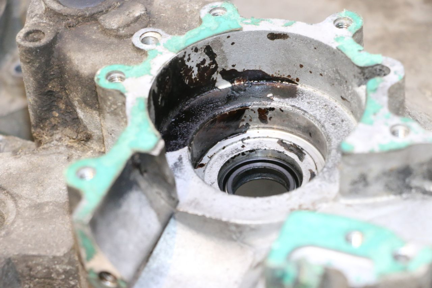 photo de ENGINE CRANKCASE PEUGEOT LUDIX ONE 50 (2004 - 2013) - Used quality zoom