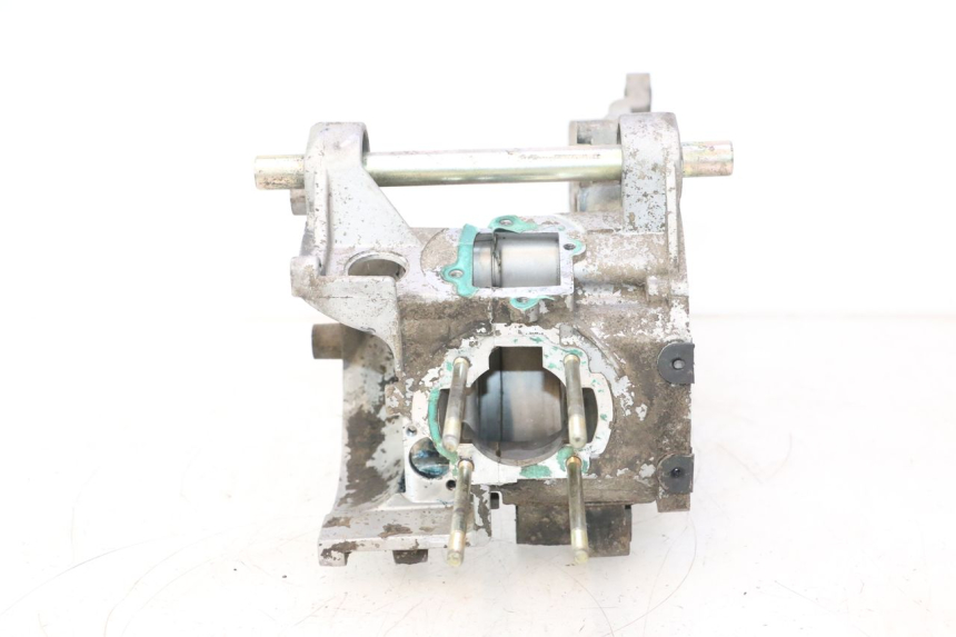 photo de ENGINE CRANKCASE IMF INDUSTRIE PACH 2T 50 (2009 - 2013) - Focus on structure