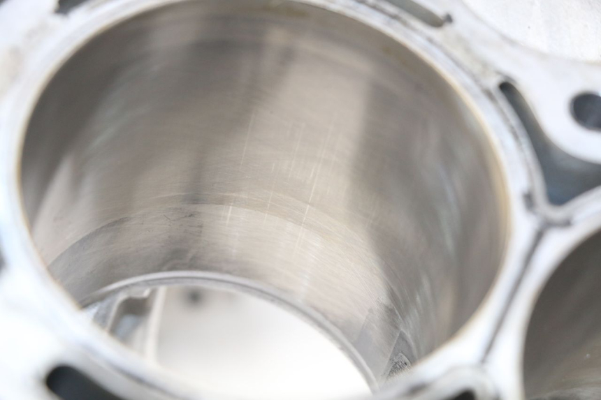 photo de ENGINE CRANKCASE BMW S RR ABS S1000RR 1000 (2009 - 2011) - Supplementary product photo