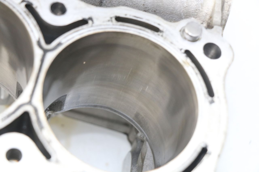 photo de ENGINE CRANKCASE BMW S RR ABS S1000RR 1000 (2009 - 2011) - Focus on structure