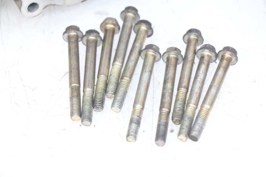 photo de ENGINE LOWER CASING APRILIA SCARABEO 100 (2003 - 2012) - Component detail