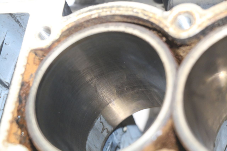 photo de ENGINE LOWER CASING TRIUMPH SPRINT ST 955 (1999 - 2001) - Supplementary product photo