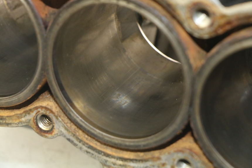 photo de ENGINE LOWER CASING TRIUMPH SPRINT ST 955 (1999 - 2001) - Used quality zoom