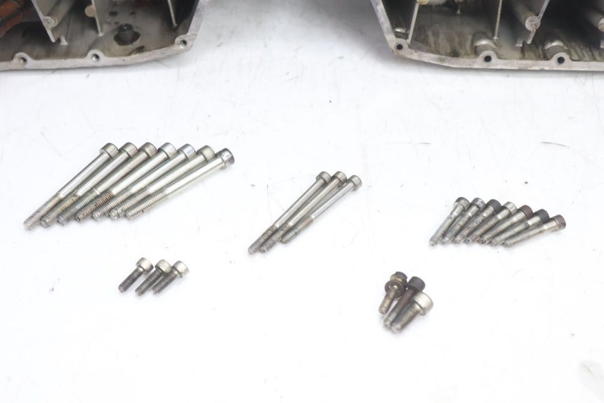 photo de ENGINE CRANKCASE DUCATI SS IE DS CARENEE 1000 (2002 - 2006) - Surface and material condition