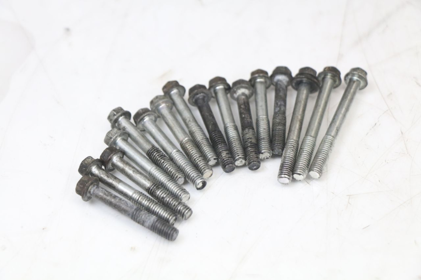 photo de ENGINE CRANKCASE SUZUKI GSX F GSXF 650 (2007 - 2015) - Distinctive features