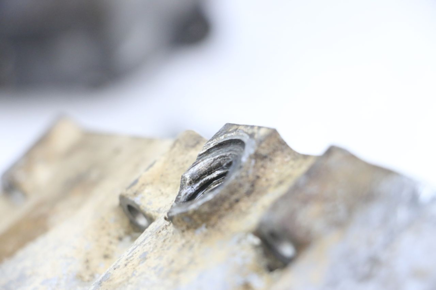 photo de ENGINE LOWER CASING HONDA TRX 300 (1988 - 2000) - High-resolution close-up