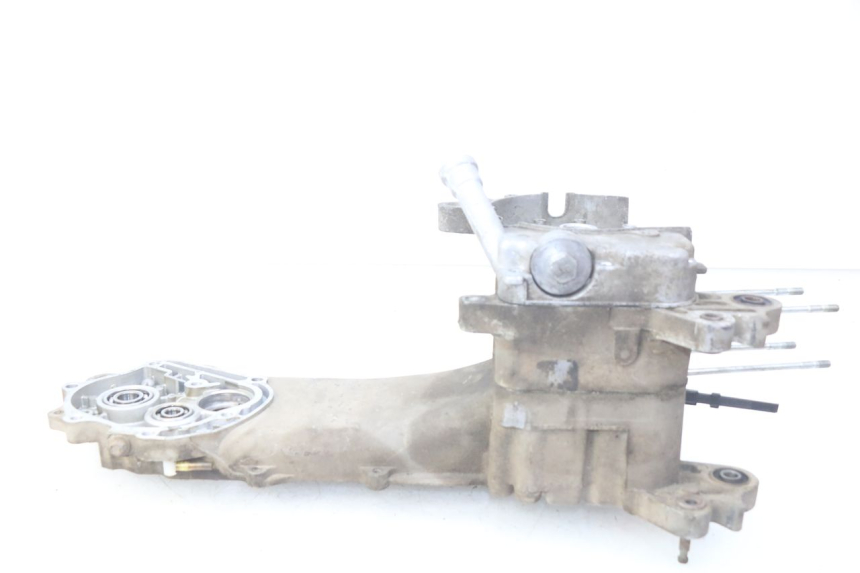 photo de ENGINE LOWER CASING EUROCKA VIRTUALITY GT 4T 50 (2011 - 2017) - Alternative perspective