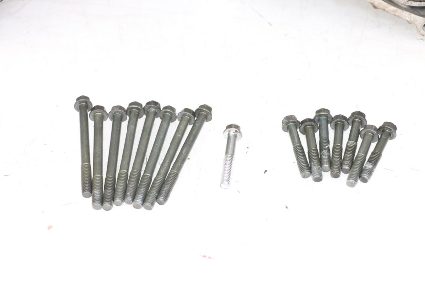 photo de ENGINE CRANKCASE SUZUKI VL INTRUDER 125 (2004 - 2007) - High-resolution close-up