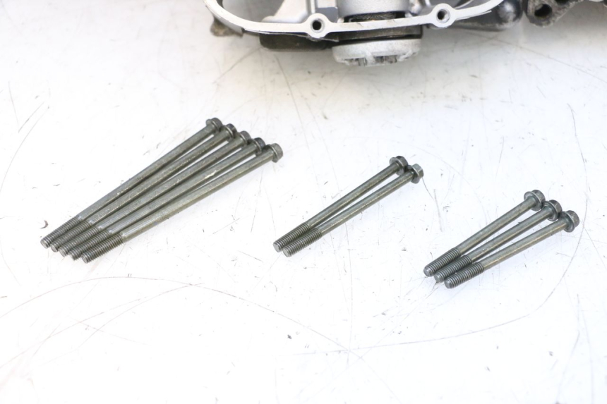 photo de ENGINE CRANKCASE YAMAHA X-MAX XMAX 125 (2010 - 2013) - Alternative perspective