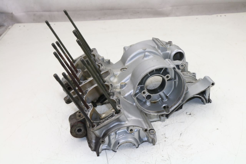 photo de ENGINE CRANKCASE YAMAHA XJS DIVERSION 600 (1997 - 1999) - Alternative angle