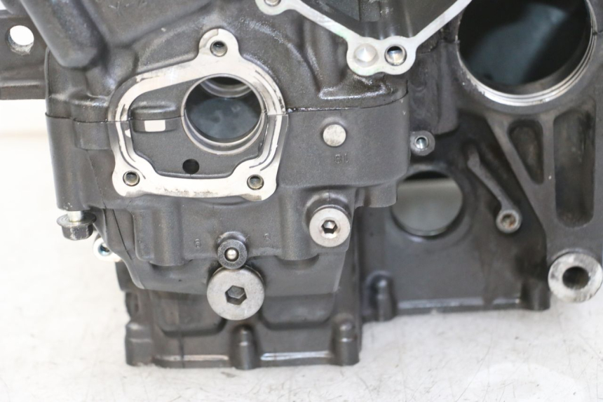 photo de ENGINE CRANKCASE YAMAHA FZ1 FAZER 1000 (2007 - 2009) - Distinctive features