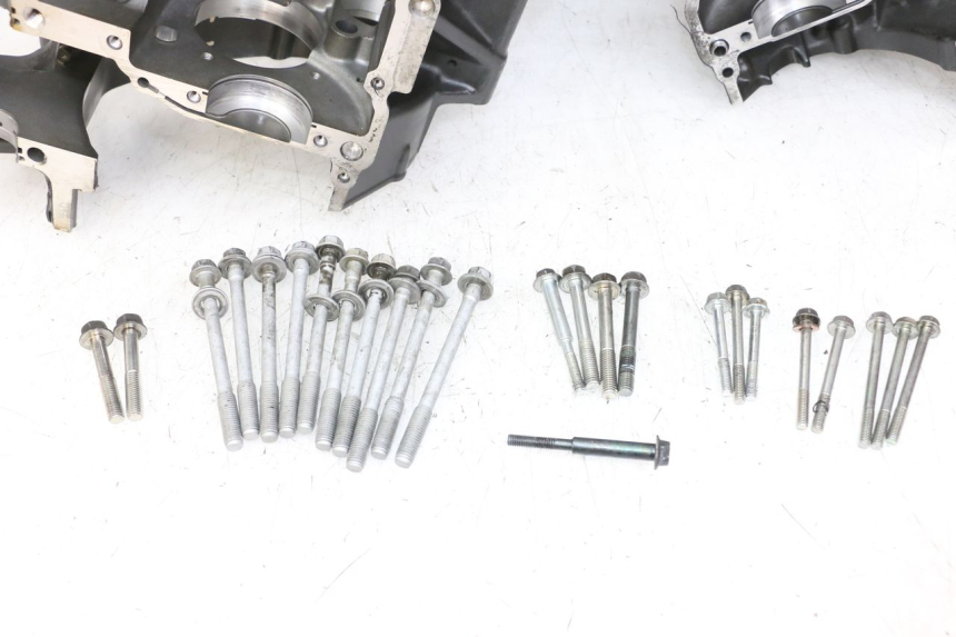 photo de ENGINE CRANKCASE YAMAHA FZ1 FAZER 1000 (2007 - 2009) - Product overview