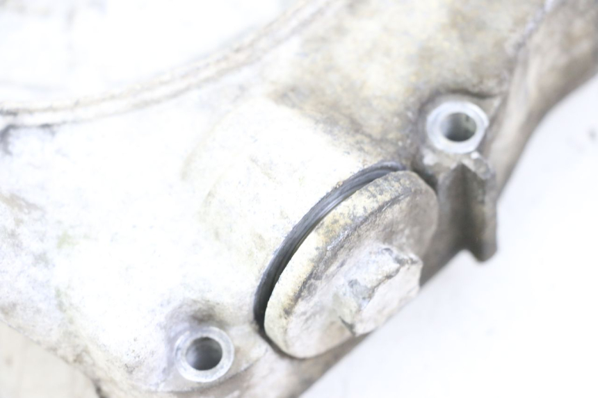 photo de STATOR COVER GOES WIKI 125 (2010 - 2015) - Component detail