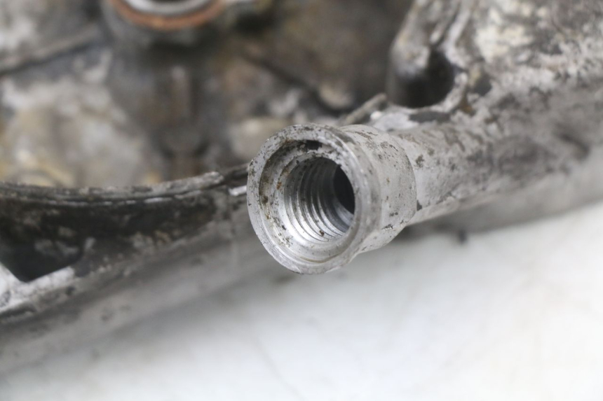 photo de STATOR COVER PEUGEOT DJANGO 125 (2014 - 2017) - Alternative perspective