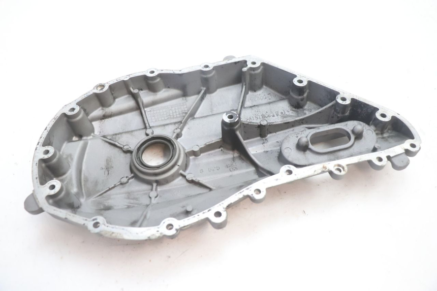 photo de REAR WHEEL SHAFT COVER BMW C SPORT 650 (2015 - 2021) - Surface and material condition