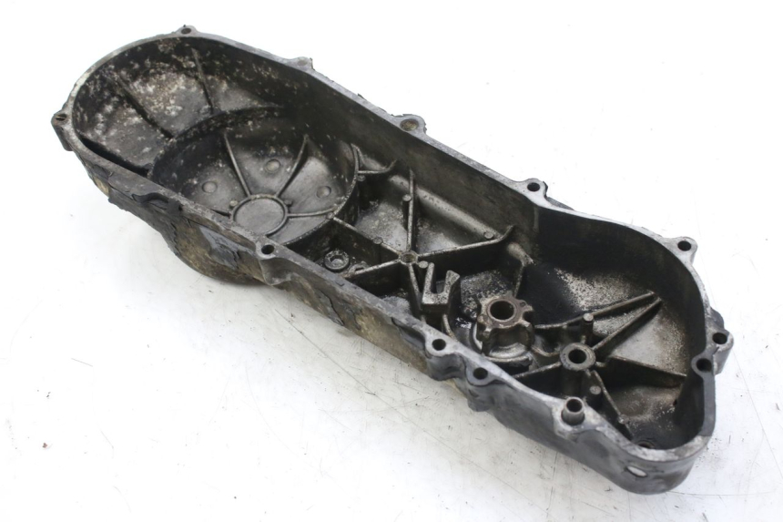 photo de VARIATOR COVER PEUGEOT ELYSTAR 50 (2002 - 2014) - Zoom on usage condition