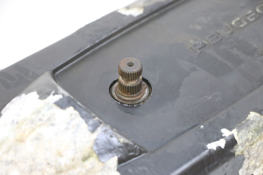 photo de VARIATOR COVER PEUGEOT LUDIX 50 (2008 - 2017) - Markings and original references