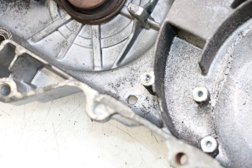 photo de VARIATOR COVER TNT MOTOR ROMA 10' 4T 50 (2007 - 2018) - Technical close-up