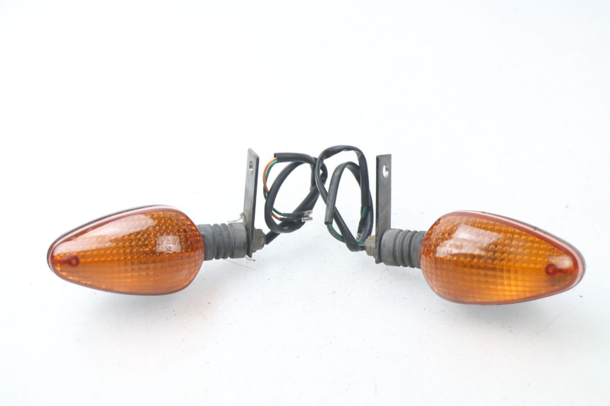 photo de REAR TURN SIGNAL ERIDER CARGO 1 (2009 - 2018) - Main view