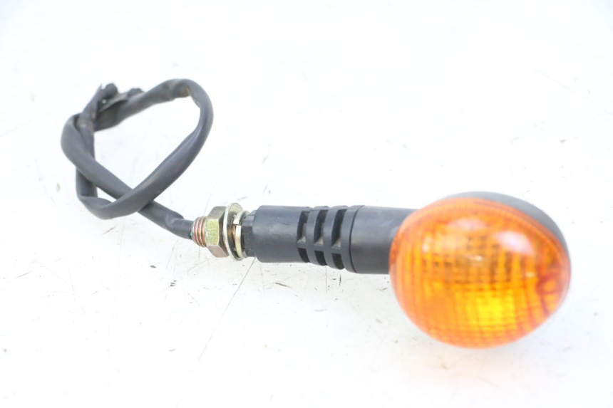 photo de REAR RIGHT TURN SIGNAL DAELIM BESBI 125 (2007 - 2008) - Main view