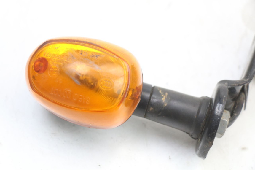 photo de REAR LEFT TURN SIGNAL REGAL RAPTOR SPYDER 125 (2010 - 2018) - Zoom on usage condition