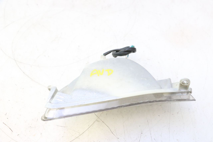 photo de FRONT RIGHT TURN SIGNAL ORCAL RAPTOR 50 (2015 - 2021) - Alternative perspective
