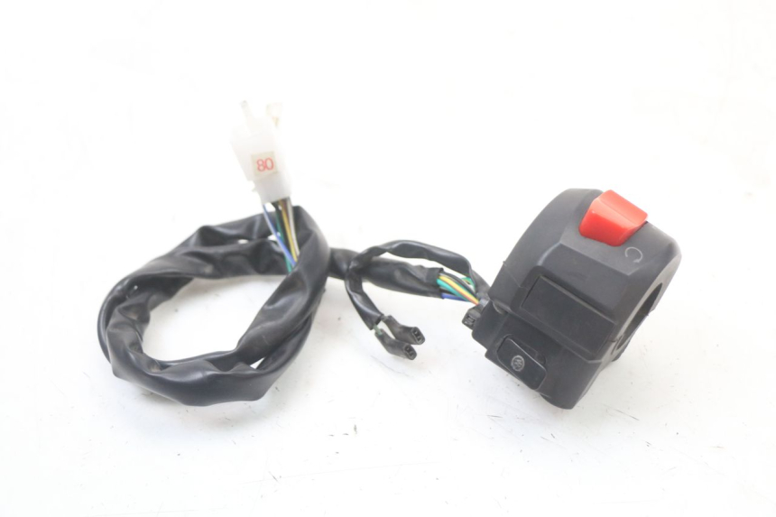 photo de RIGHT SWITCH EBROH BRAVO GLE 1 (2020 - 2024) - Main view