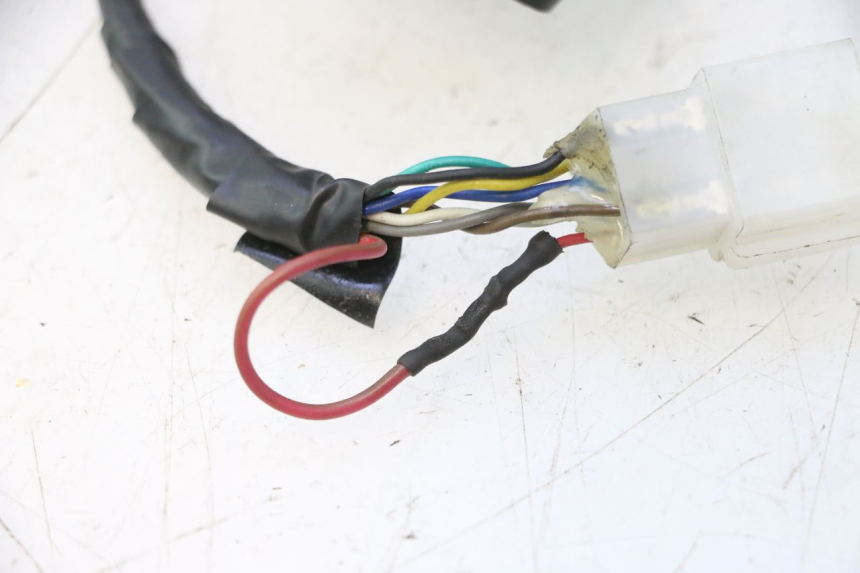 photo de LEFT SWITCH WAYSCRAL E-START 1 (2018 - 2022) - Fixing points details