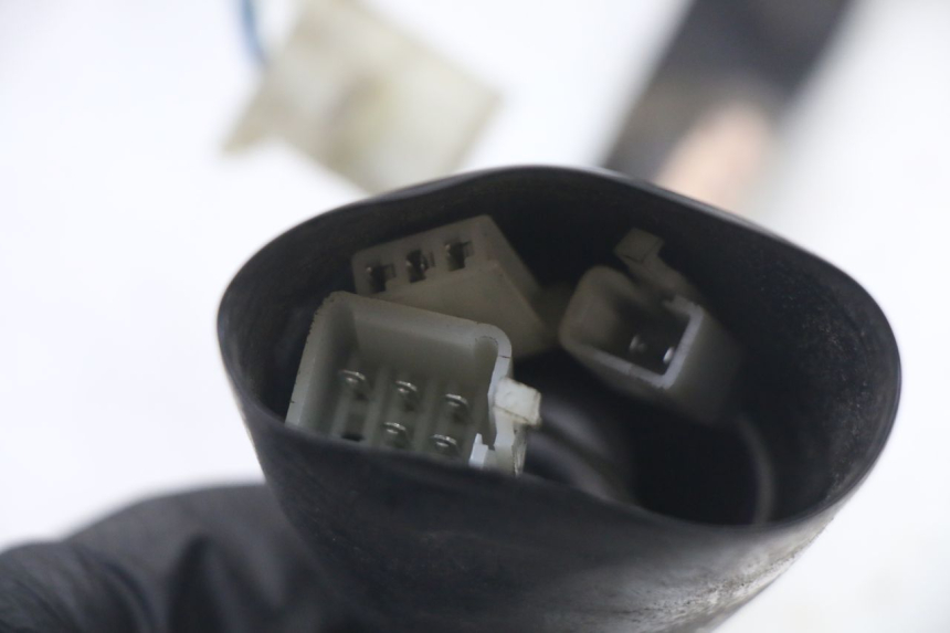 photo de SPEEDOMETER PEUGEOT TWEET PRO CARGO 50 (2018 - 2022) - Distinctive features