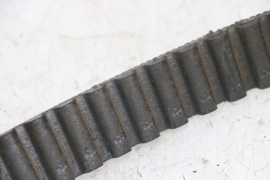 photo de DRIVE BELT HARLEY DAVIDSON SPORTSTER XL CUSTOM 1200 (2003 - 2004) - Component detail