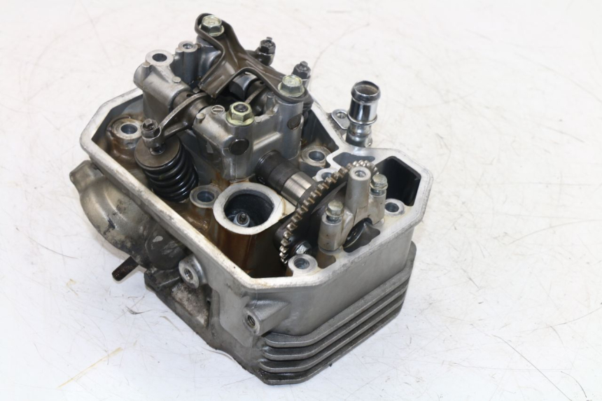 photo de FRONT CYLINDER HEAD HONDA NTV REVERSE 650 (1988 - 1988) - High-resolution close-up