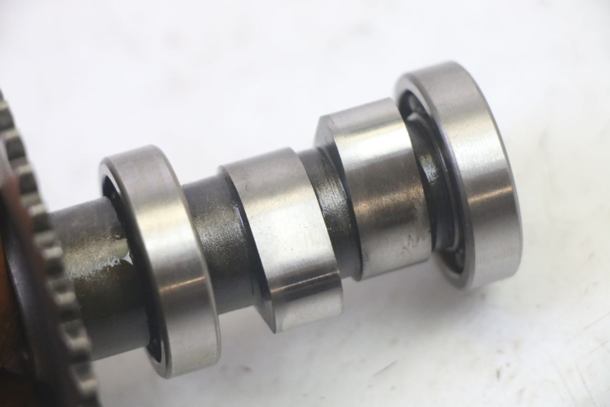 photo de CYLINDER HEAD LONGJIA DIGITA 4T 50 (2019 - 2022) - Supplementary product photo