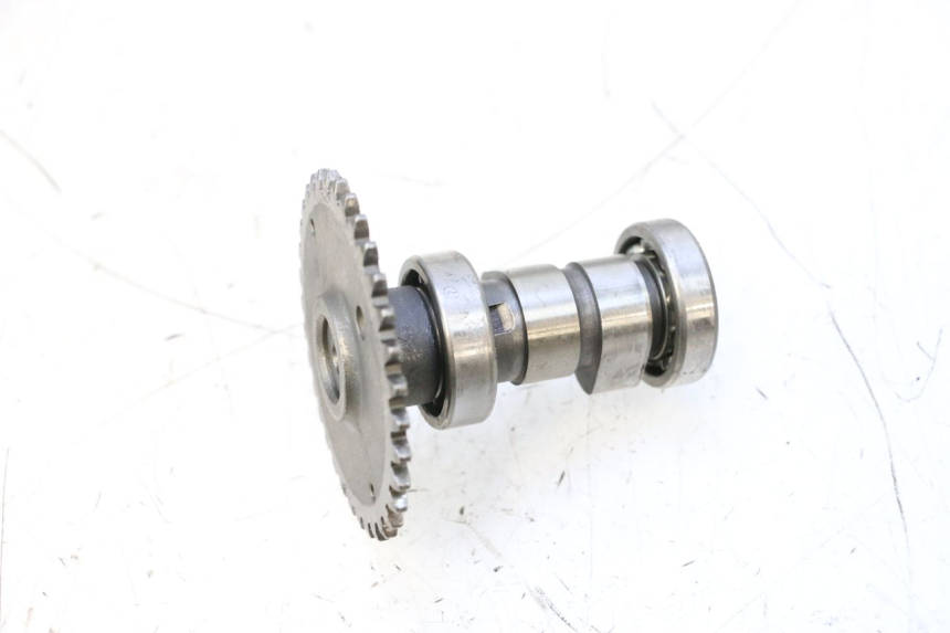 photo de CYLINDER HEAD JM MOTORS EVOLIS 4T 50 (2018 - 2022) - Technical close-up