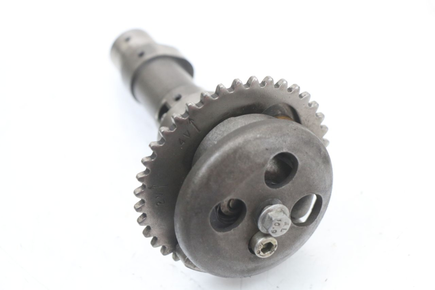 photo de CYLINDER HEAD RENAULT KOURANOS 125 (2001 - 2004) - Technical close-up