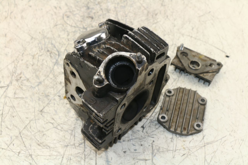 photo de CYLINDER HEAD PANTHERA PANTHERA 110 (2010 - 2017) - Zoom on usage condition