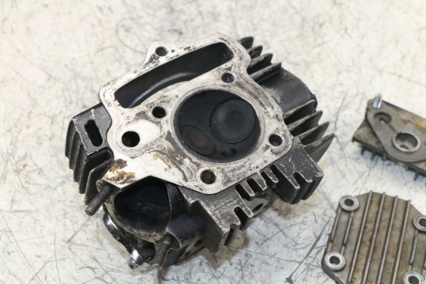 photo de CYLINDER HEAD PANTHERA PANTHERA 110 (2010 - 2017) - Alternative perspective